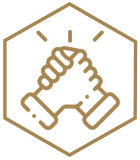 Consulting BI/ SFE